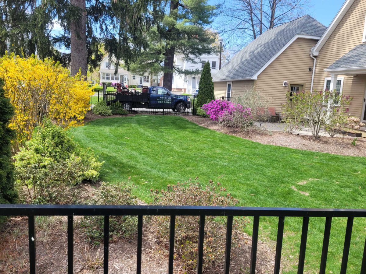 Northampton, MA's Choice Among Area Landscaping Companies