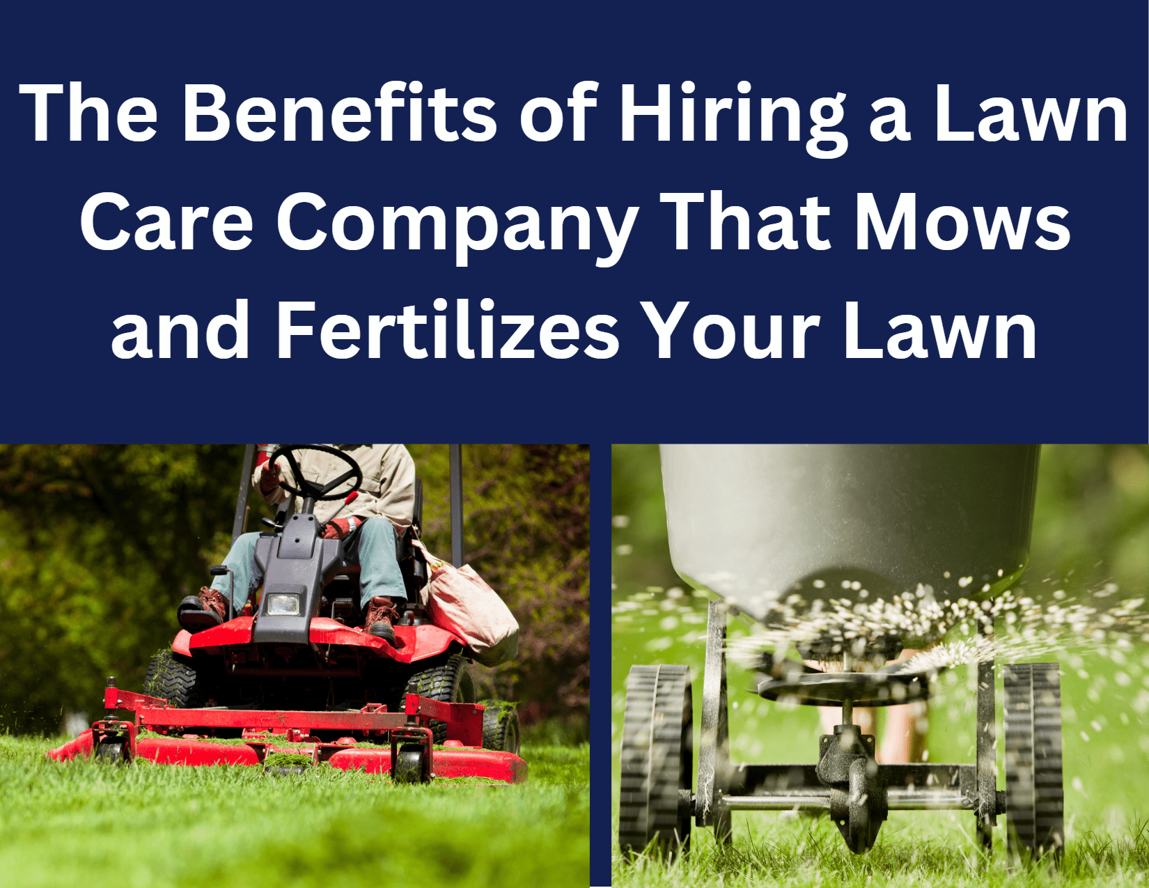 Lawn Care Made Easy: Hire a Company for Mowing and Fertilization